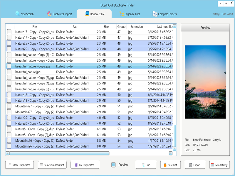 DupInOut Duplicate Finder Windows 11 download
