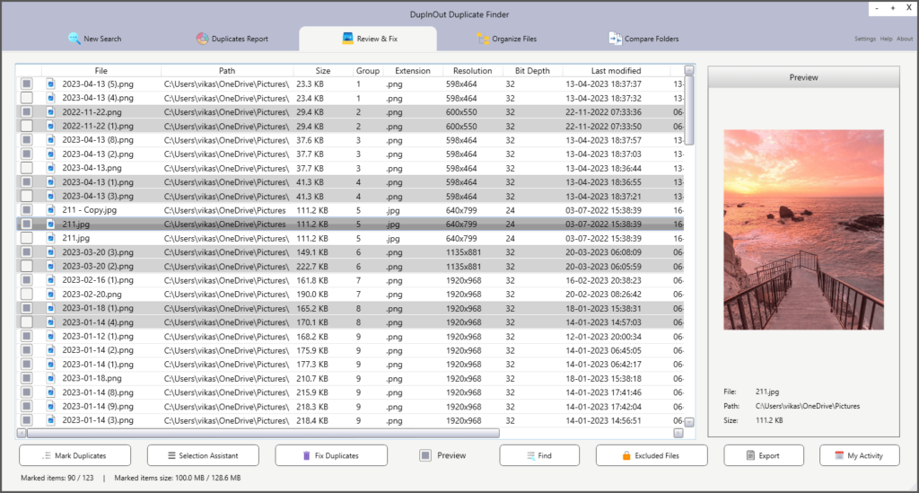 DupInOut Duplicate Finder