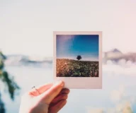 find similar photos